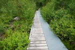 NaturWanderPark delux: Moore-Pfad Schneifel