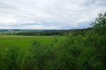 NaturWanderPark delux: Moore-Pfad Schneifel
