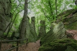 NaturWanderPark delux: Felsenweg - Berdorf