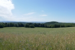 Premiumwanderweg Römerpfad