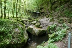 Premiumwanderweg Römerpfad - Tal des Butzerbachs