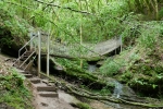 Premiumwanderweg Römerpfad - Tal des Butzerbachs