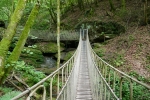 Premiumwanderweg Römerpfad - Tal des Butzerbachs