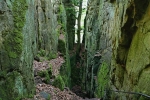 NaturWanderPark delux: Teufelsschlucht und Irreler Wasserfälle