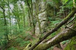 NaturWanderPark delux: Teufelsschlucht und Irreler Wasserfälle