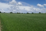 Traumpfad Eltzer Burgpanorama