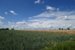 Traumpfad Eltzer Burgpanorama