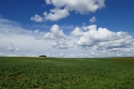 Traumpfad Eltzer Burgpanorama