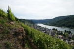 Traumpfad Hatzenporter Laysteig