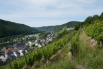 Traumpfad Hatzenporter Laysteig