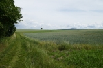 Traumpfad Hatzenporter Laysteig