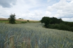 Traumpfad Hatzenporter Laysteig
