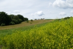 Traumpfad Hatzenporter Laysteig