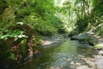 Traumschleife Ehrbachklamm mit Schöneckschleife