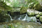 Traumschleife Ehrbachklamm mit Schöneckschleife