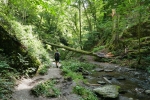 Traumschleife Ehrbachklamm mit Schöneckschleife
