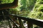 Traumschleife Ehrbachklamm mit Schöneckschleife