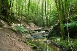 Traumschleife Ehrbachklamm mit Schöneckschleife