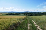 Traumpfad Pyrmonter Felsensteig