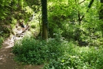 Traumpfad Pyrmonter Felsensteig