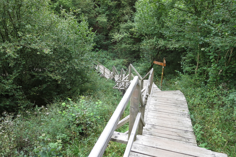 Nationalpark Eifel – Rund um Vogelsang