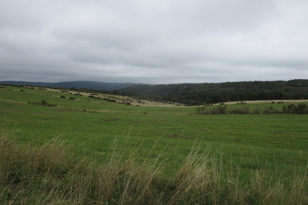 Nationalpark Eifel – Rund um Vogelsang