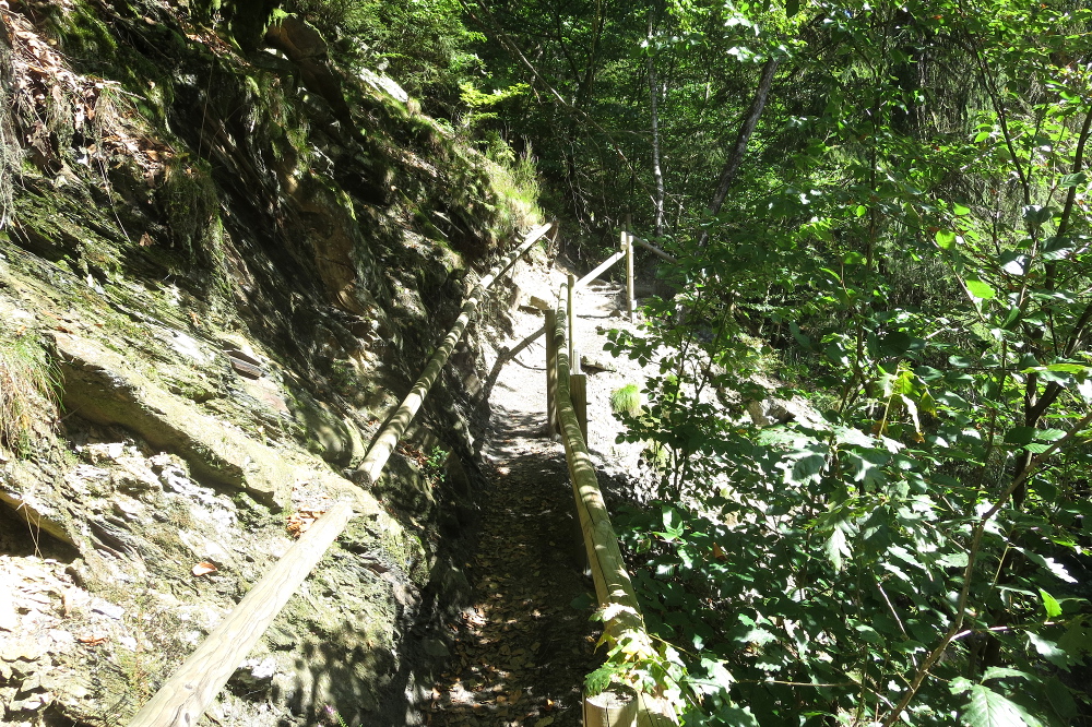 Hohes Venn – Rund um Ternell