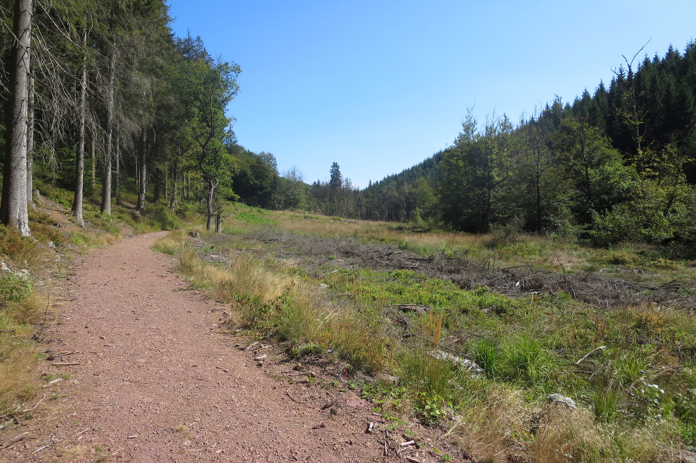 Hohes Venn – Rund um Ternell