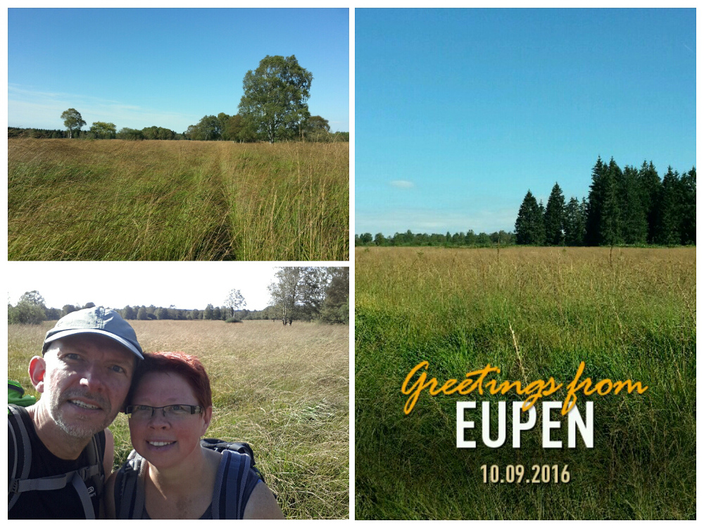Hohes Venn – Rund um Ternell