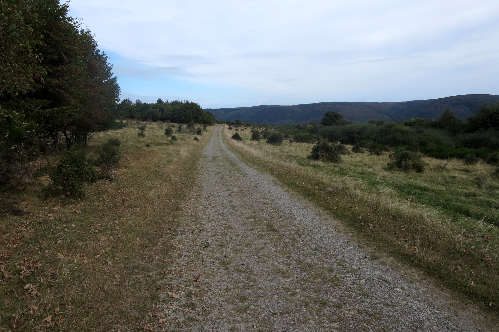 Nationalpark Eifel – Hochebene, Wald und Wasser