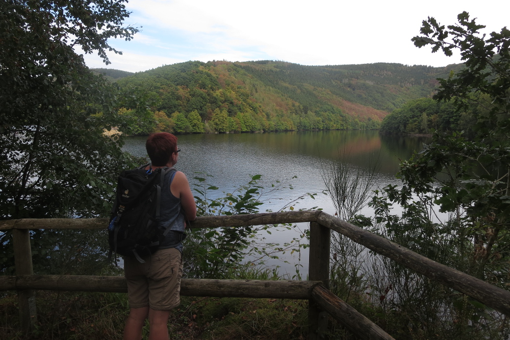 Nationalpark Eifel – Hochebene, Wald und Wasser - Rurtalsperre (Obersee)