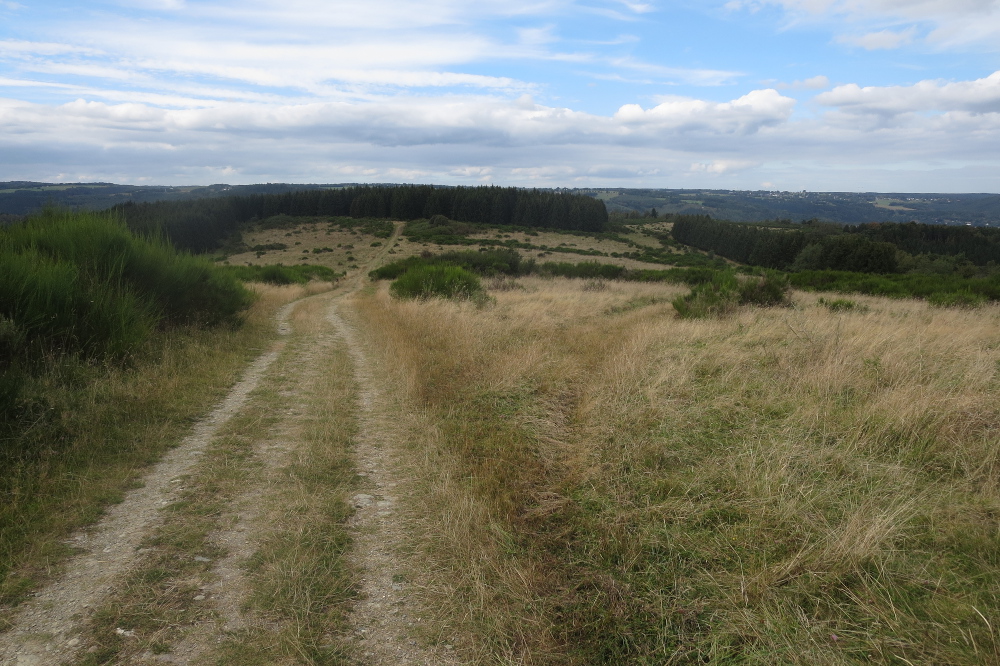 Nationalpark Eifel – Hochebene, Wald und Wasser