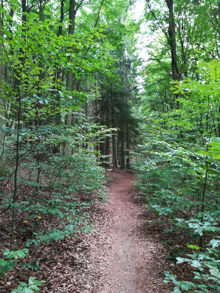 Nationalpark Eifel – Kermeter Ost und West