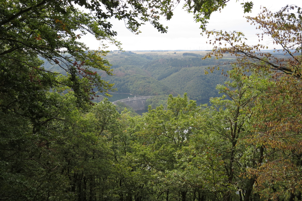 Nationalpark Eifel – Kermeter Ost und West
