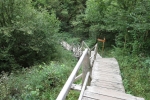 Nationalpark Eifel – Rund um Vogelsang