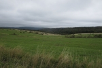 Nationalpark Eifel – Rund um Vogelsang
