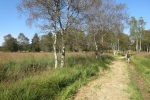 Hohes Venn – Rund um Ternell