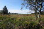 Hohes Venn – Rund um Ternell
