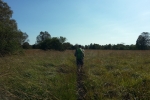 Hohes Venn – Rund um Ternell