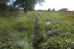 Hohes Venn – Rund um Ternell