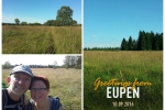 Hohes Venn – Rund um Ternell