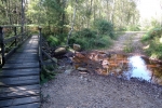 Hohes Venn – Rund um Ternell