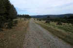 Nationalpark Eifel – Hochebene, Wald und Wasser