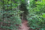 Nationalpark Eifel – Kermeter Ost und West