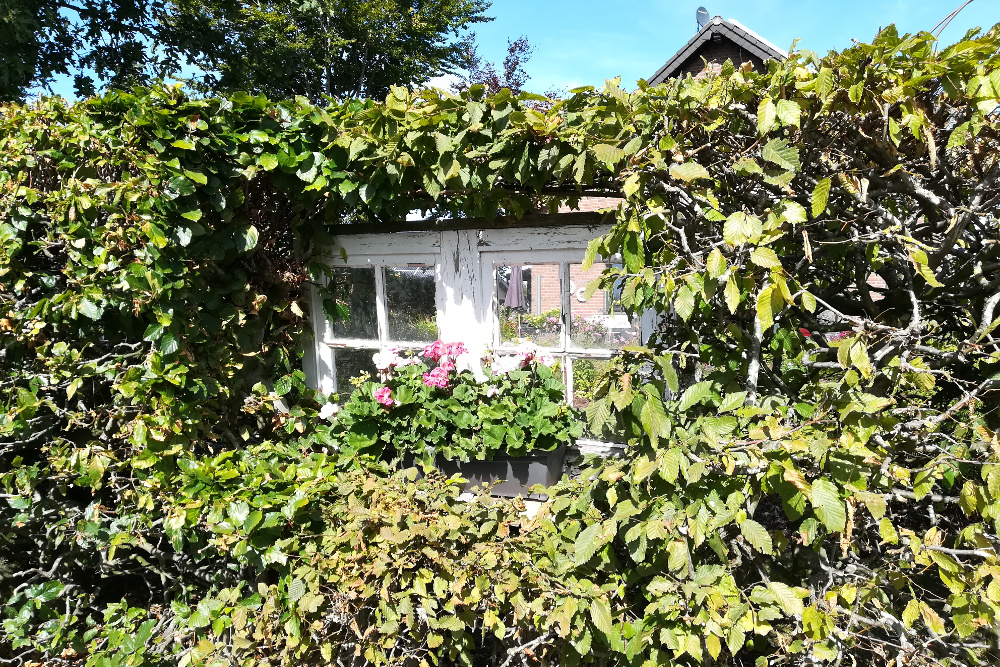 Eifelsteig #02: Von Roetgen nach Monschau