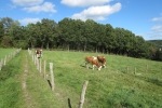 Eifelsteig #01: Von Kornelimünster nach Roetgen