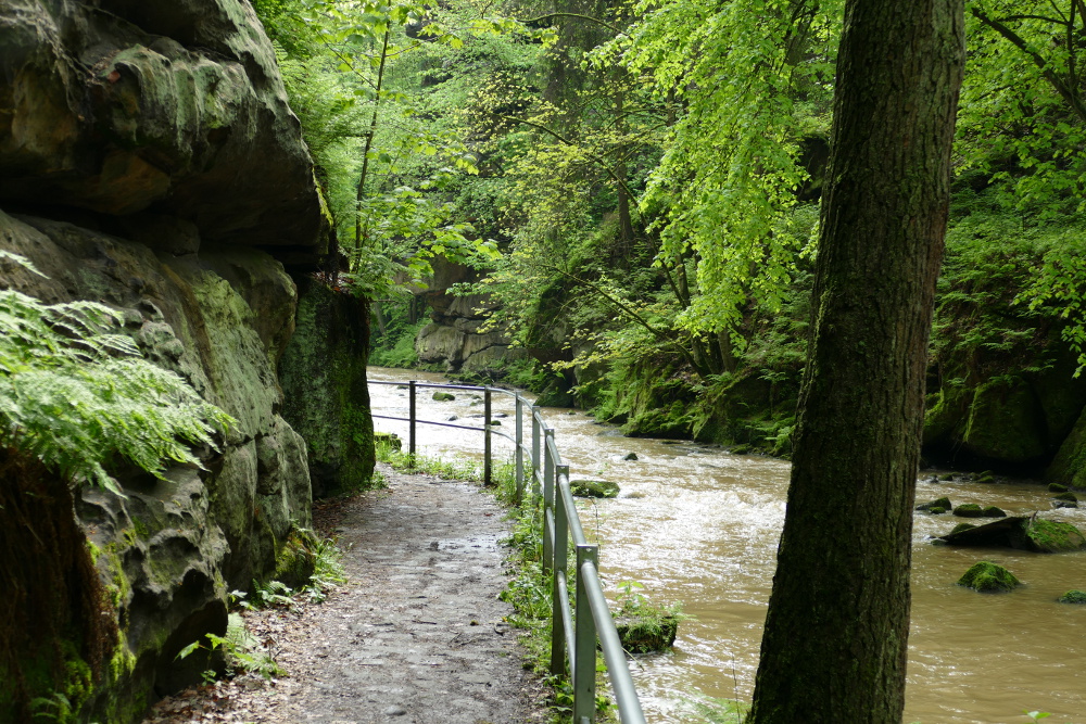 Malerweg #1 - Im Liebethaler Grund