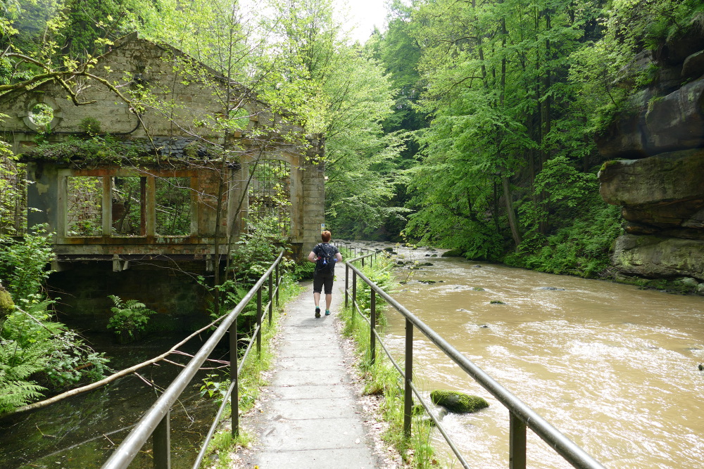 Malerweg #1 - Im Liebethaler Grund