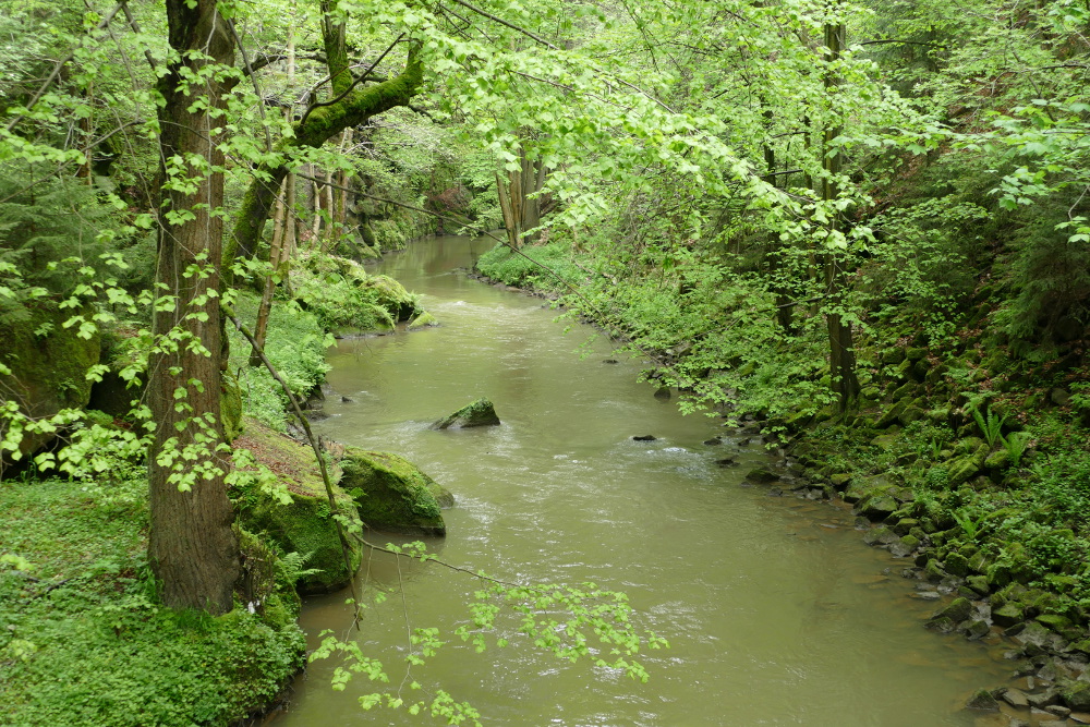 Malerweg #1 - Lohmener Klamm