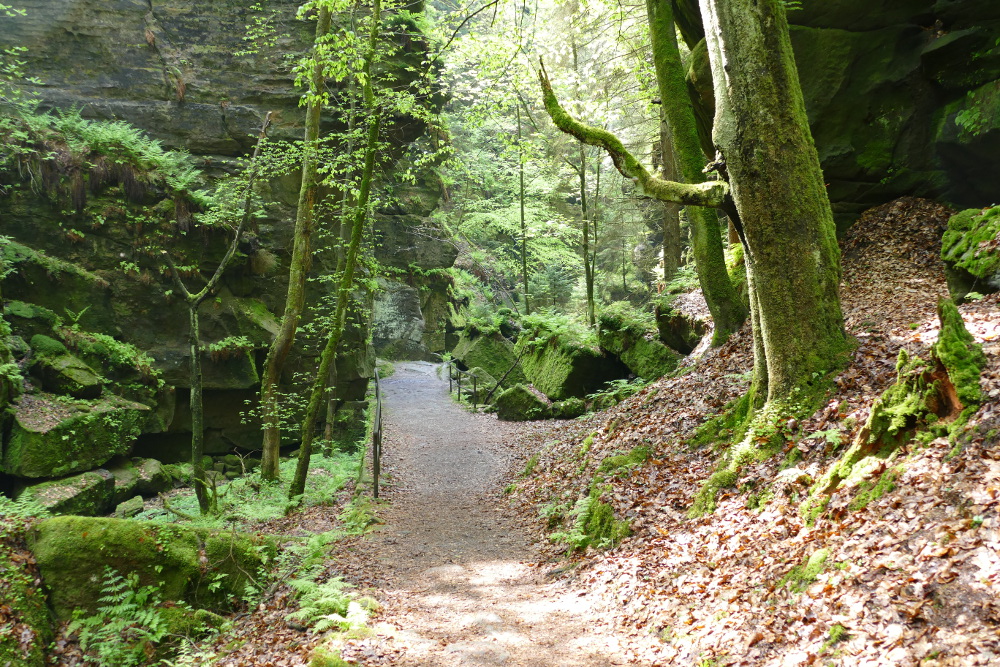 Malerweg #1 - Im Uttewalder Grund